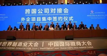 合肥“西邊小深圳”崛起 企業(yè)網(wǎng)站建設熱潮背后的創(chuàng)新動力