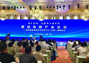 集成電路產(chǎn)業(yè)在合肥 專家智囊團(tuán)成立，企業(yè)數(shù)字化建設(shè)迎新機(jī)遇